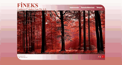 Desktop Screenshot of fineks.com
