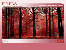 Tablet Screenshot of fineks.com